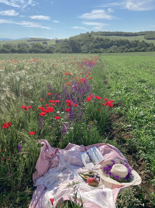 Den Ultimative Picnic